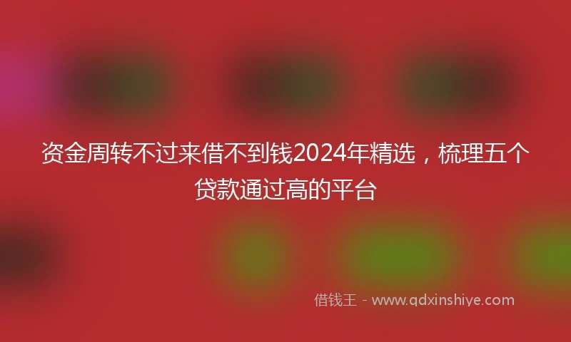 资金周转不过来借不到钱2024年精选,梳理五个贷款通过高的平台