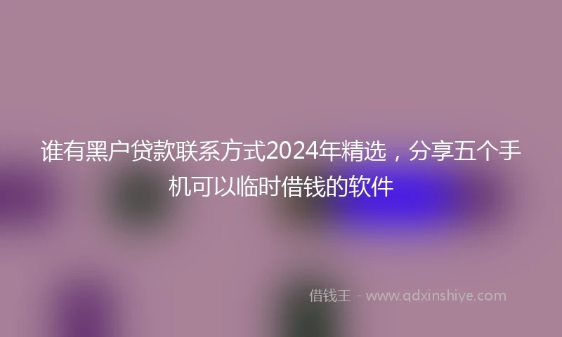 谁有黑户贷款联系方式2024年精选，分享五个手机可以临时借钱的软件