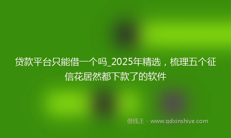 贷款平台只能借一个吗_2025年精选，梳理五个征信花居然都下款了的软件