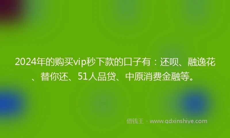 2024年的购买vip秒下款的口子有：还呗、融逸花、替你还、51人品贷、中原消费金融等。