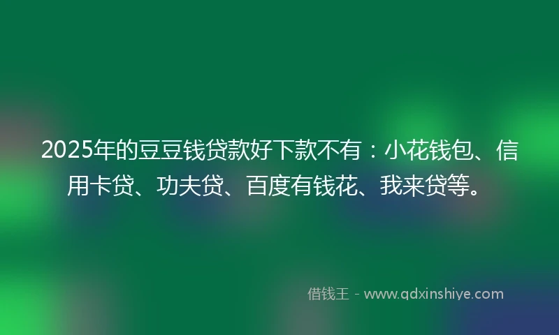 2025年的豆豆钱贷款好下款不有：小花钱包、信用卡贷、功夫贷、百度有钱花、我来贷等。