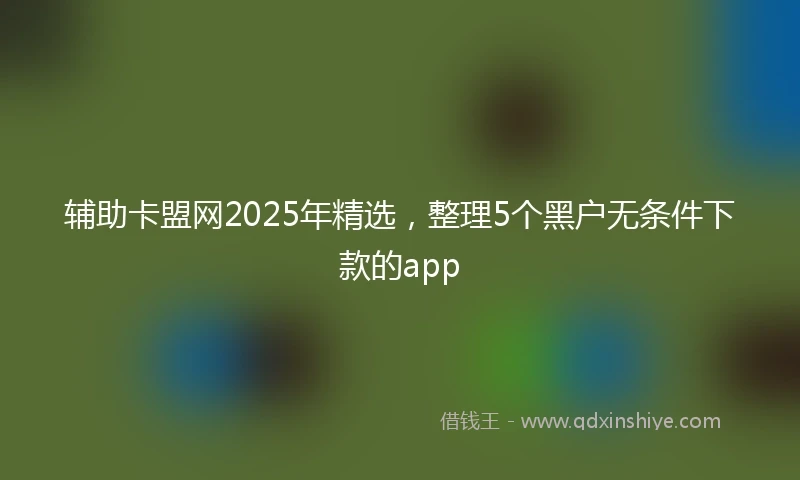 辅助卡盟网2025年精选，整理5个黑户无条件下款的app