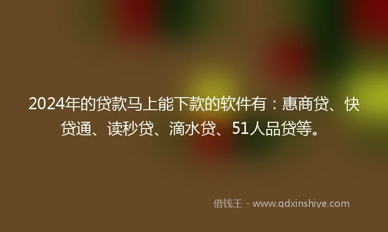 2024年的贷款马上能下款的软件有：惠商贷、快贷通、读秒贷、滴水贷、51人品贷等。