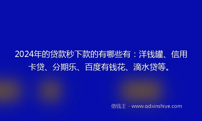 2024年的贷款秒下款的有哪些有：洋钱罐、信用卡贷、分期乐、百度有钱花、滴水贷等。