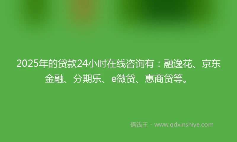 2025年的贷款24小时在线咨询有：融逸花、京东金融、分期乐、e微贷、惠商贷等。