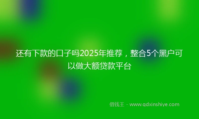 还有下款的口子吗2025年推荐，整合5个黑户可以做大额贷款平台
