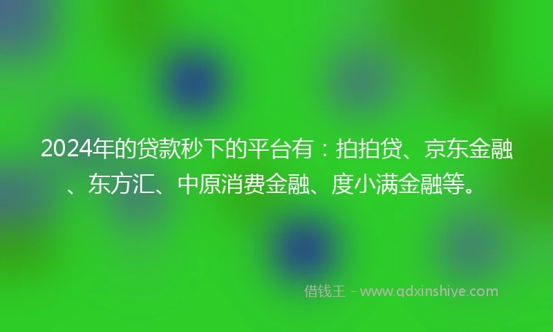 2024年的贷款秒下的平台有：拍拍贷、京东金融、东方汇、中原消费金融、度小满金融等。