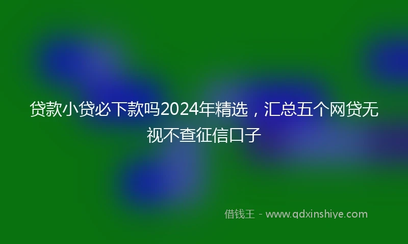 贷款小贷必下款吗2024年精选，汇总五个网贷无视不查征信口子