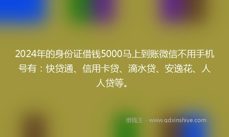 2024年的身份证借钱5000马上到账微信不用手机号有：快贷通、信用卡贷、滴水贷、安逸花、人人贷等。