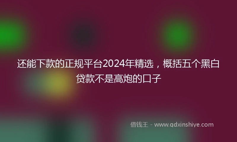 还能下款的正规平台2024年精选，概括五个黑白贷款不是高炮的口子