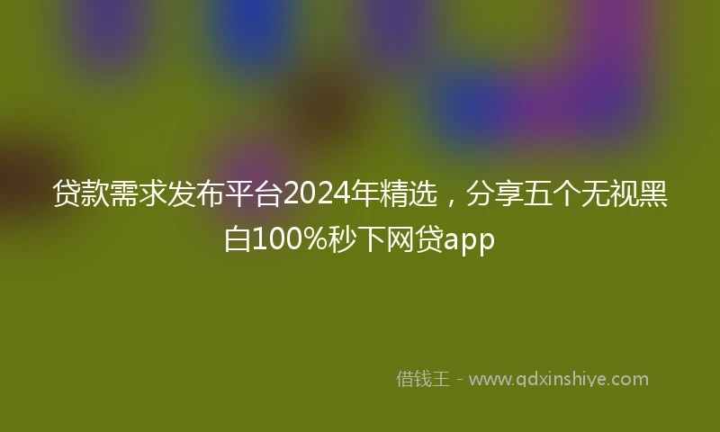 贷款需求发布平台2024年精选，分享五个无视黑白100%秒下网贷app