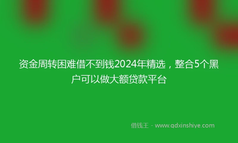 资金周转困难借不到钱2024年精选，整合5个黑户可以做大额贷款平台