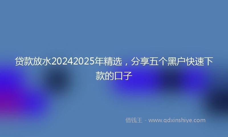 贷款放水20242025年精选，分享五个黑户快速下款的口子