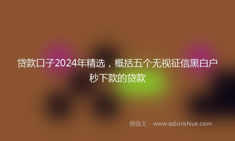 贷款口子2024年精选，概括五个无视征信黑白户秒下款的贷款