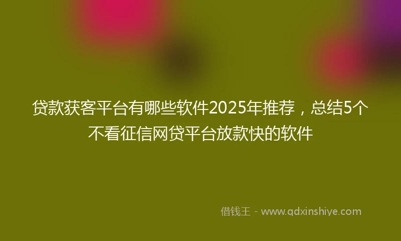 贷款获客平台有哪些软件2025年推荐，总结5个不看征信网贷平台放款快的软件