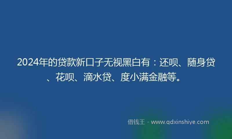 2024年的贷款新口子无视黑白有：还呗、随身贷、花呗、滴水贷、度小满金融等。