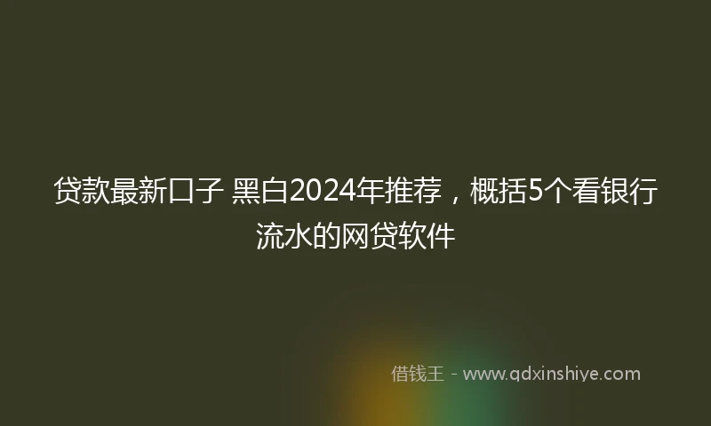 贷款最新口子 黑白2024年推荐，概括5个看银行流水的网贷软件
