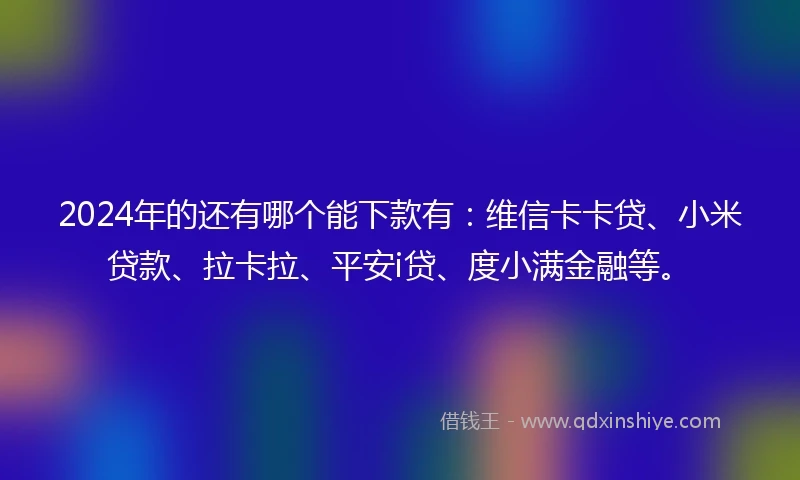 2024年的还有哪个能下款有：维信卡卡贷、小米贷款、拉卡拉、平安i贷、度小满金融等。