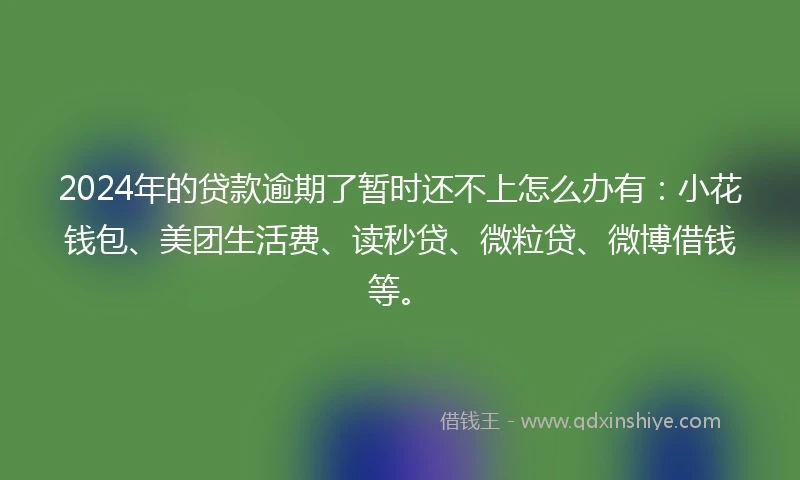 2024年的贷款逾期了暂时还不上怎么办有：小花钱包、美团生活费、读秒贷、微粒贷、微博借钱等。