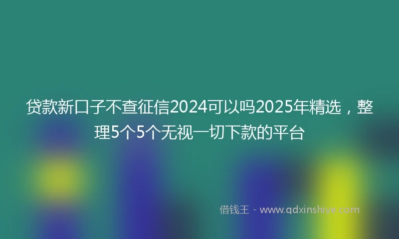 贷款新口子不查征信2024可以吗2025年精选，整理5个5个无视一切下款的平台