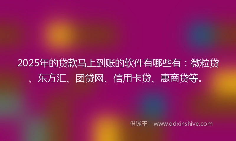 2025年的贷款马上到账的软件有哪些有：微粒贷、东方汇、团贷网、信用卡贷、惠商贷等。