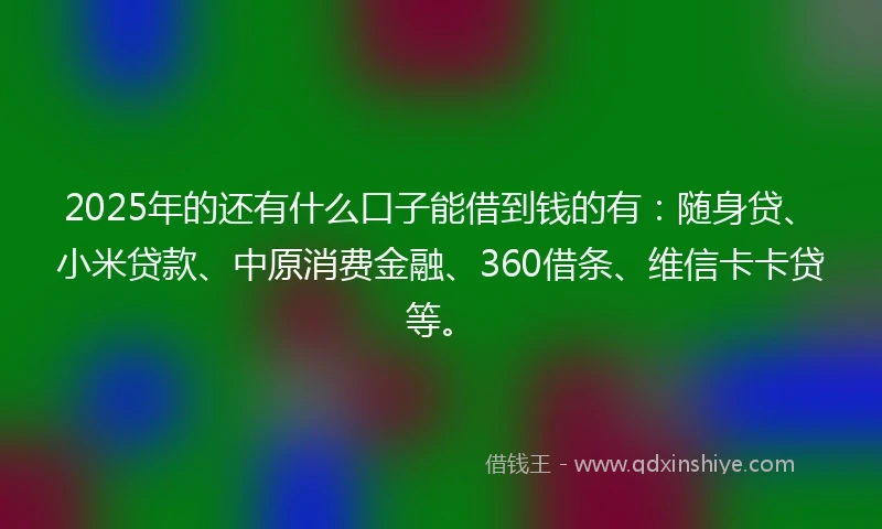 2025年的还有什么口子能借到钱的有：随身贷、小米贷款、中原消费金融、360借条、维信卡卡贷等。