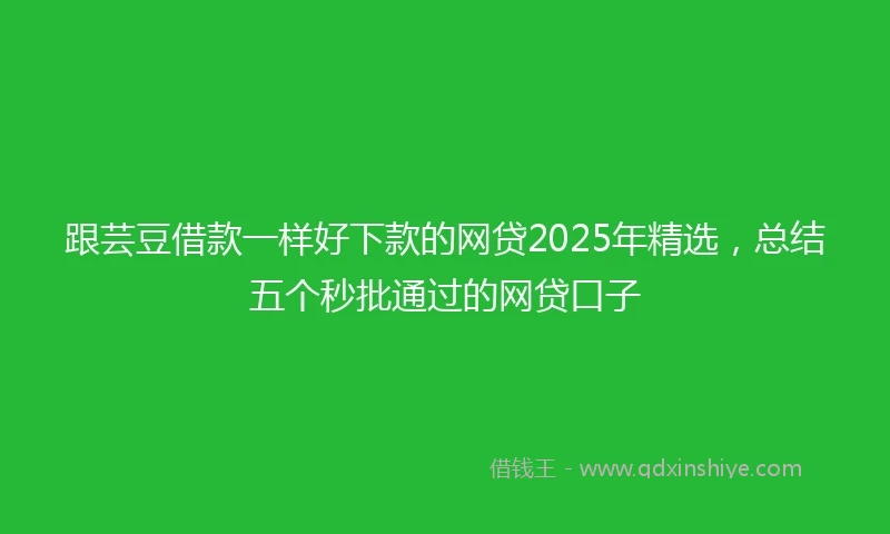 跟芸豆借款一样好下款的网贷2025年精选，总结五个秒批通过的网贷口子