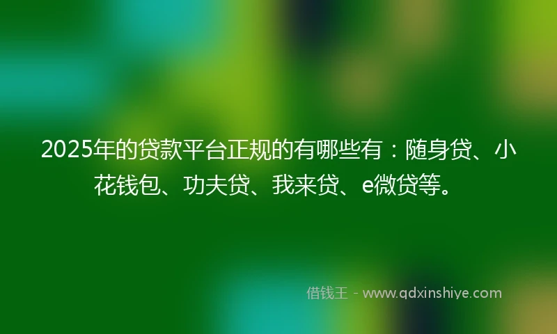 2025年的贷款平台正规的有哪些有：随身贷、小花钱包、功夫贷、我来贷、e微贷等。