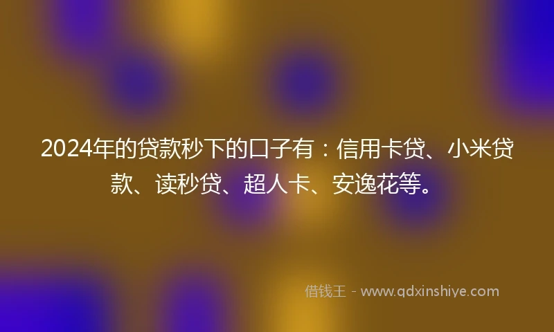 2024年的贷款秒下的口子有：信用卡贷、小米贷款、读秒贷、超人卡、安逸花等。