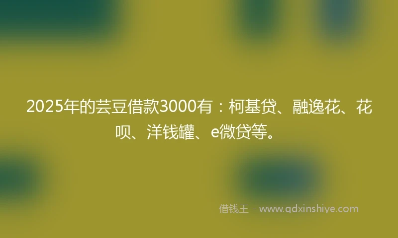 2025年的芸豆借款3000有：柯基贷、融逸花、花呗、洋钱罐、e微贷等。
