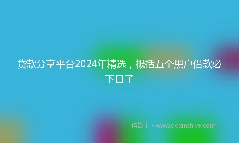 贷款分享平台2024年精选，概括五个黑户借款必下口子