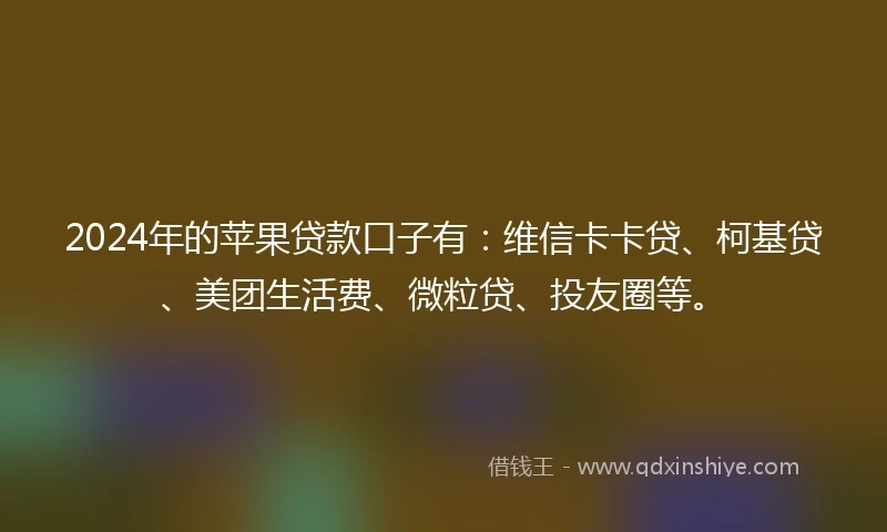 2024年的苹果贷款口子有：维信卡卡贷、柯基贷、美团生活费、微粒贷、投友圈等。