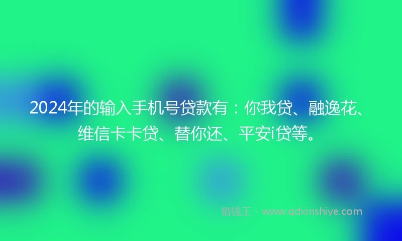 2024年的输入手机号贷款有：你我贷、融逸花、维信卡卡贷、替你还、平安i贷等。