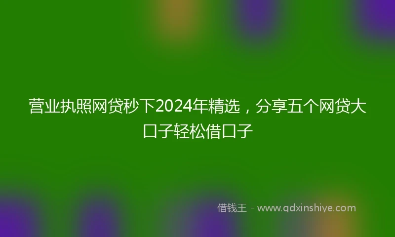 营业执照网贷秒下2024年精选，分享五个网贷大口子轻松借口子