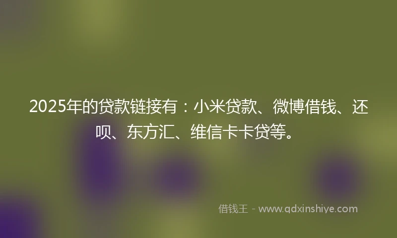 2025年的贷款链接有：小米贷款、微博借钱、还呗、东方汇、维信卡卡贷等。
