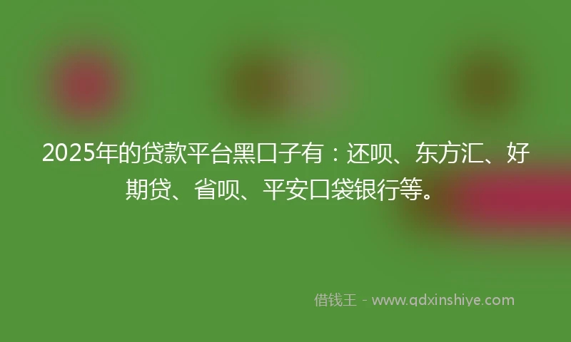 2025年的贷款平台黑口子有：还呗、东方汇、好期贷、省呗、平安口袋银行等。