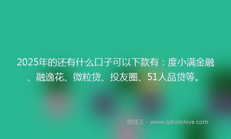 2025年的还有什么口子可以下款有：度小满金融、融逸花、微粒贷、投友圈、51人品贷等。