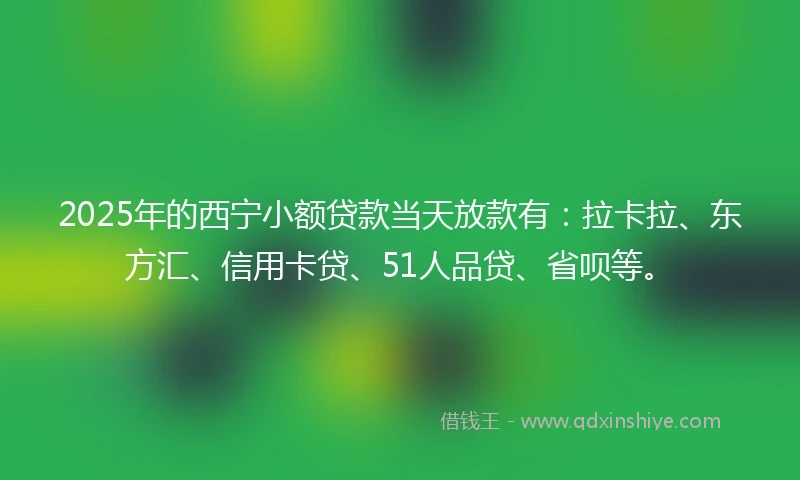 2025年的西宁小额贷款当天放款有：拉卡拉、东方汇、信用卡贷、51人品贷、省呗等。