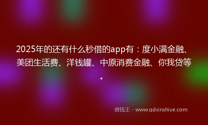 2025年的还有什么秒借的app有：度小满金融、美团生活费、洋钱罐、中原消费金融、你我贷等。