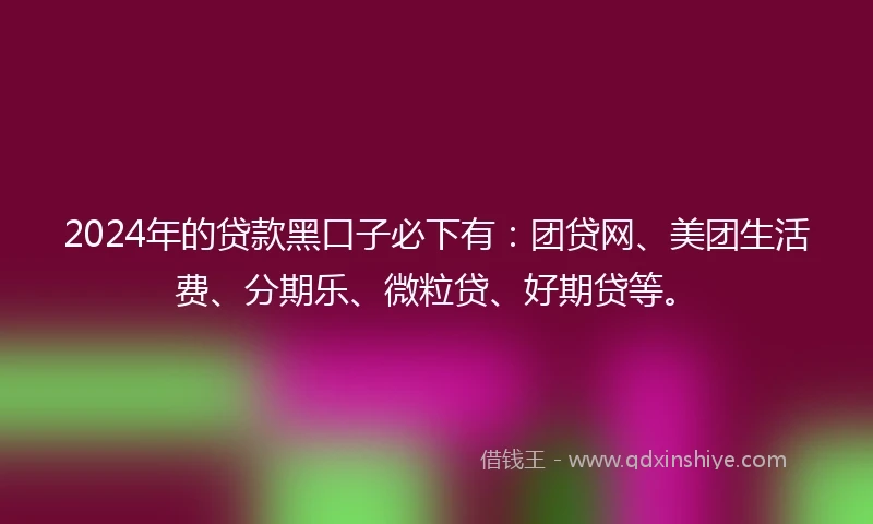 2024年的贷款黑口子必下有:团贷网、美团生活费、分期乐、微粒贷、好期贷等。