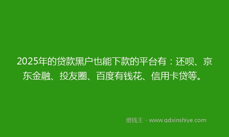 2025年的贷款黑户也能下款的平台有:还呗、京东金融、投友圈、百度有钱花、信用卡贷等。