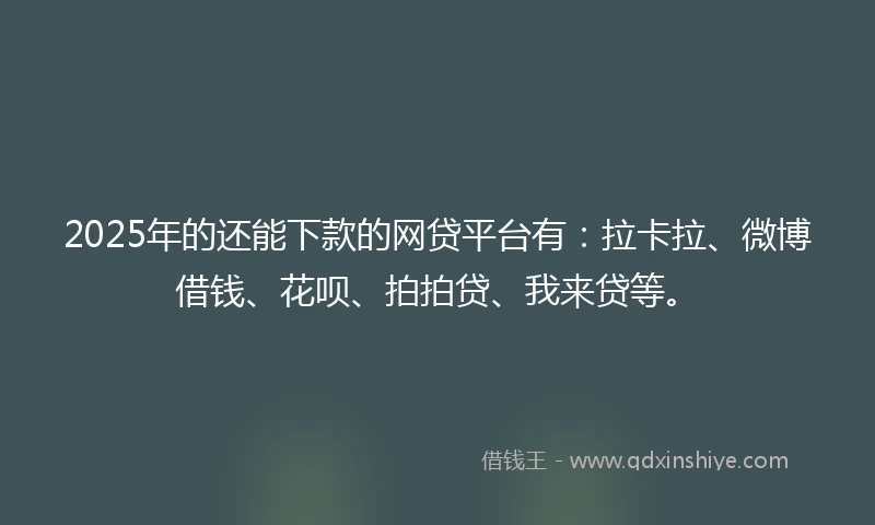 2025年的还能下款的网贷平台有：拉卡拉、微博借钱、花呗、拍拍贷、我来贷等。