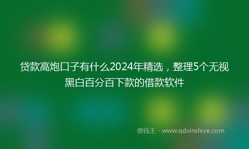 贷款高炮口子有什么2024年精选，整理5个无视黑白百分百下款的借款软件