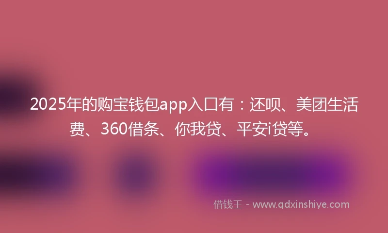 2025年的购宝钱包app入口有：还呗、美团生活费、360借条、你我贷、平安i贷等。
