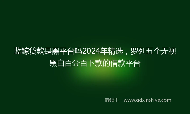 蓝鲸贷款是黑平台吗2024年精选，罗列五个无视黑白百分百下款的借款平台