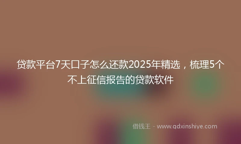 贷款平台7天口子怎么还款2025年精选，梳理5个不上征信报告的贷款软件