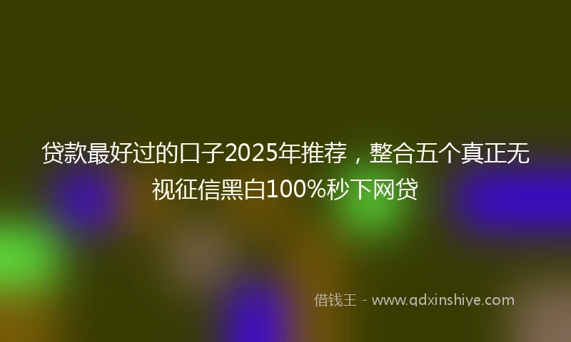 贷款最好过的口子2025年推荐，整合五个真正无视征信黑白100%秒下网贷