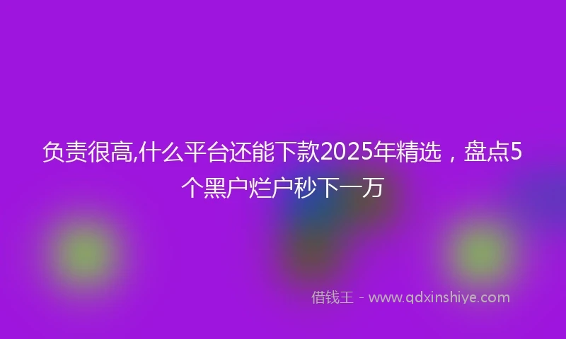 负责很高,什么平台还能下款2025年精选，盘点5个黑户烂户秒下一万