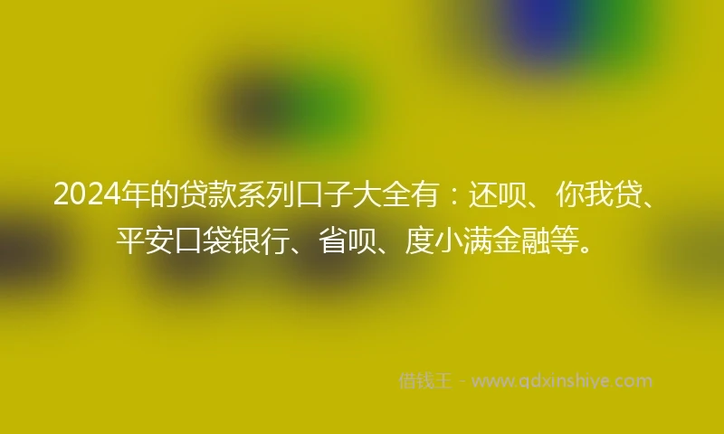 2024年的贷款系列口子大全有：还呗、你我贷、平安口袋银行、省呗、度小满金融等。