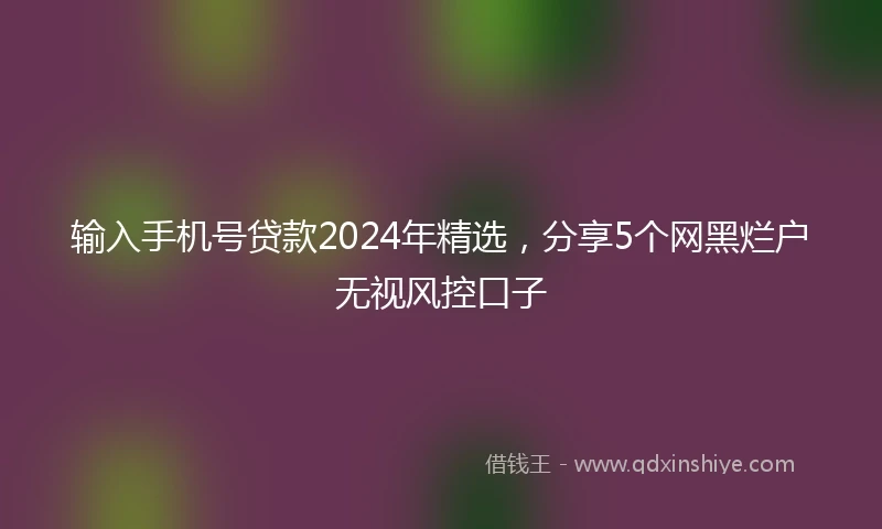 输入手机号贷款2024年精选，分享5个网黑烂户无视风控口子